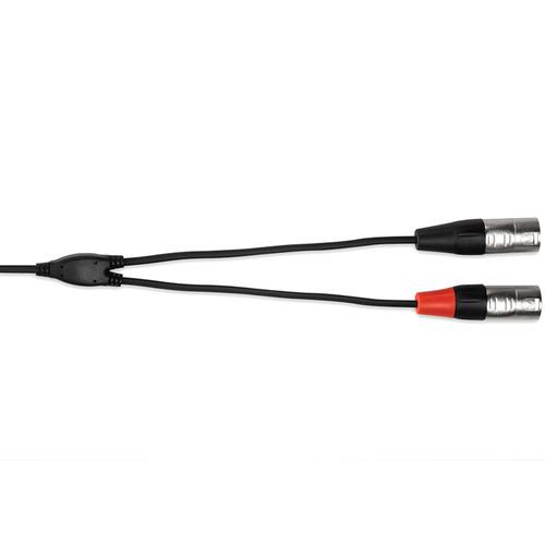 Hosa Technology Pro Stereo Breakout Cable - 3.5mm Stereo Mini to Dual 3-Pin XLR Male