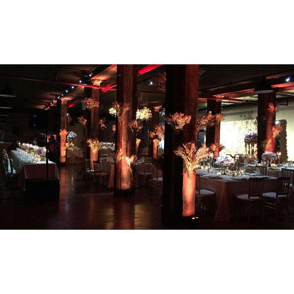 CHAUVET DJ Freedom Par Quad-4 Battery-Powered RGBA LED PAR with Wireless DMX