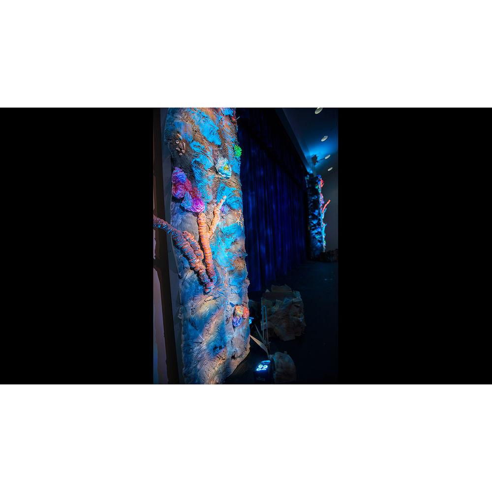 CHAUVET DJ Freedom Par Quad-4 Battery-Powered RGBA LED PAR with Wireless DMX