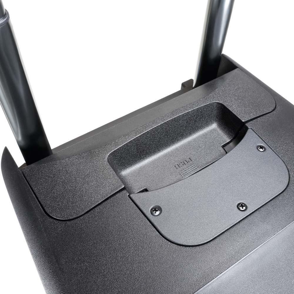 LD Systems Roadbuddy 10 Battery-Powered Bluetooth Speaker with Wireless Handheld Microphone