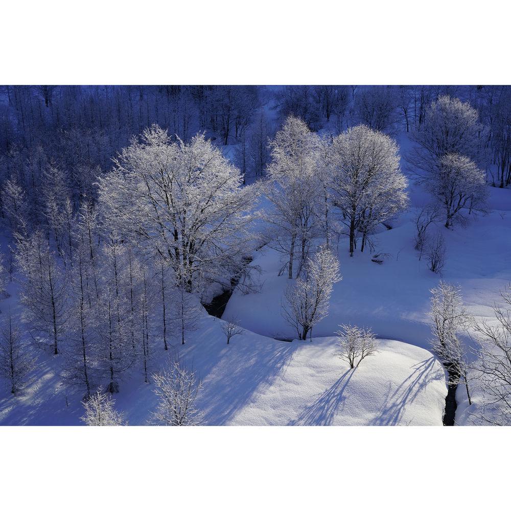 Sony Planar T* FE 50mm f 1.4 ZA Lens