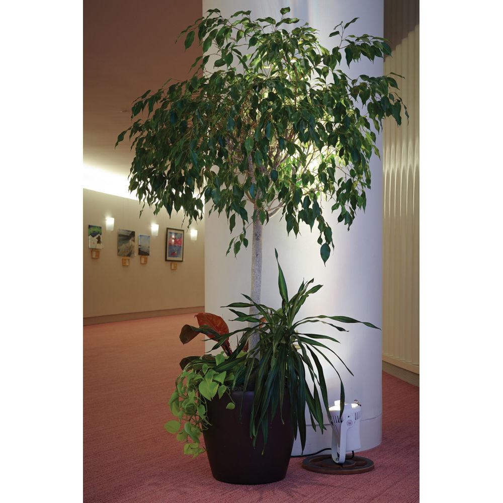 ETC Desire D22 Studio Lustr Wash Fixture