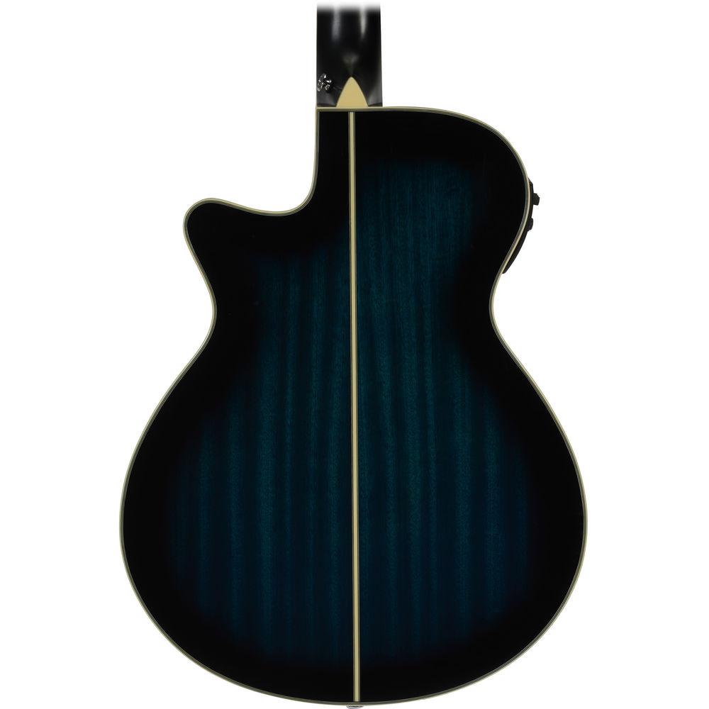Ibanez AEG10II Acoustic Electric Guitar