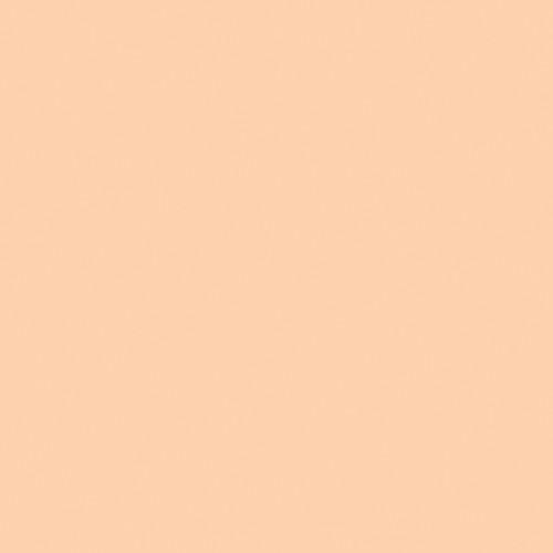 Rosco Color Effects Filter Kit