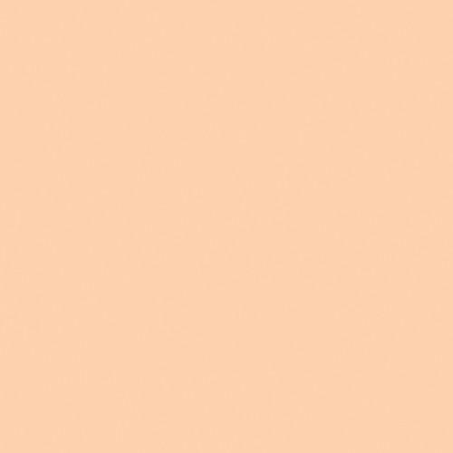 Rosco Color Effects Filter Kit