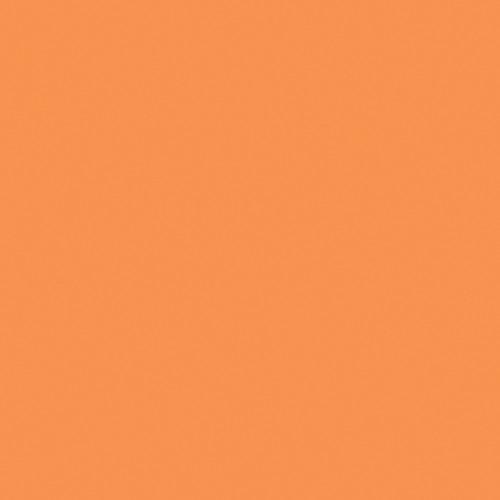 Rosco Color Effects Filter Kit