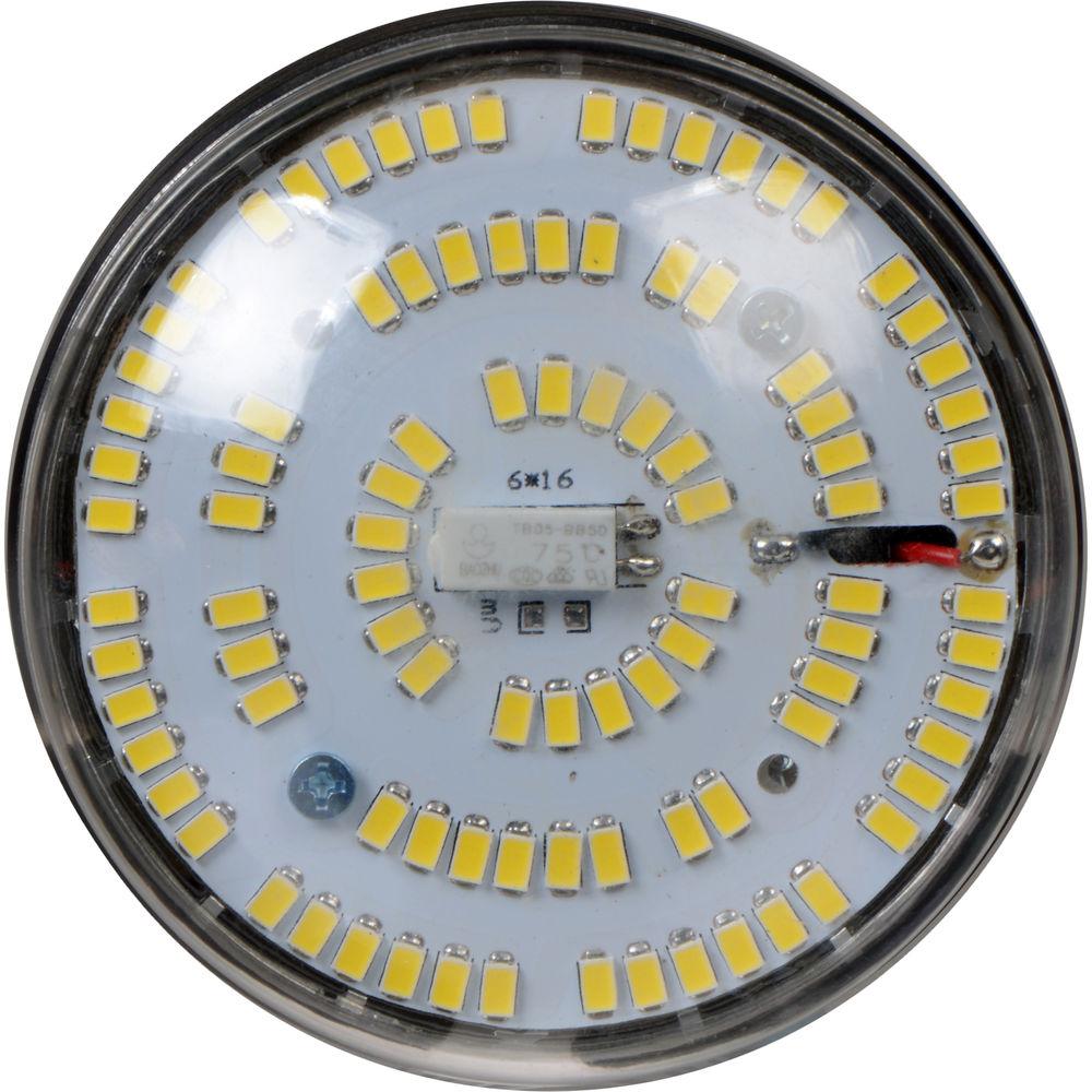 Savage LED Studio Lamp