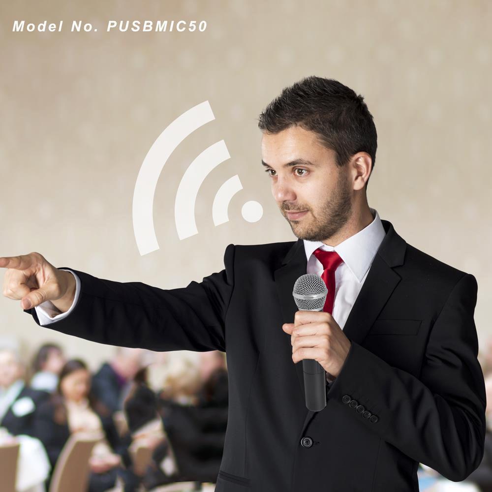 Pyle Pro Wireless Microphone and USB Receiver System