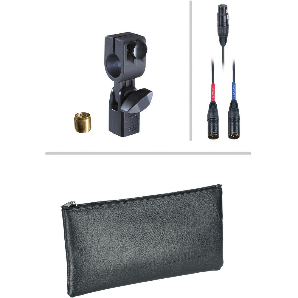 Audio-Technica AE-2500 - Dual Element Cardioid Kick Drum Microphone