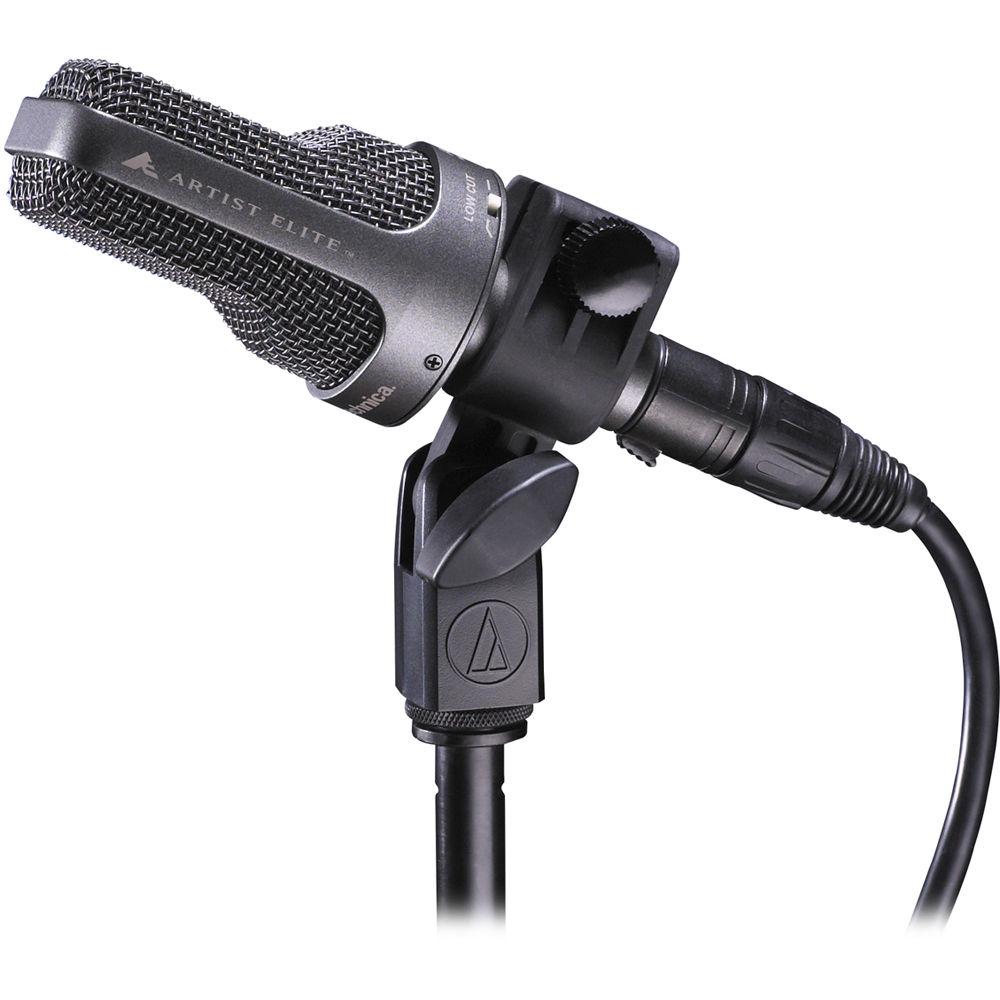 Audio-Technica AE-3000 Large-Diaphragm Cardioid Instrument Microphone