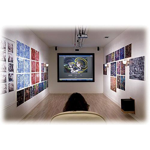 Draper 253338 Onyx Fixed Frame Projection Screen