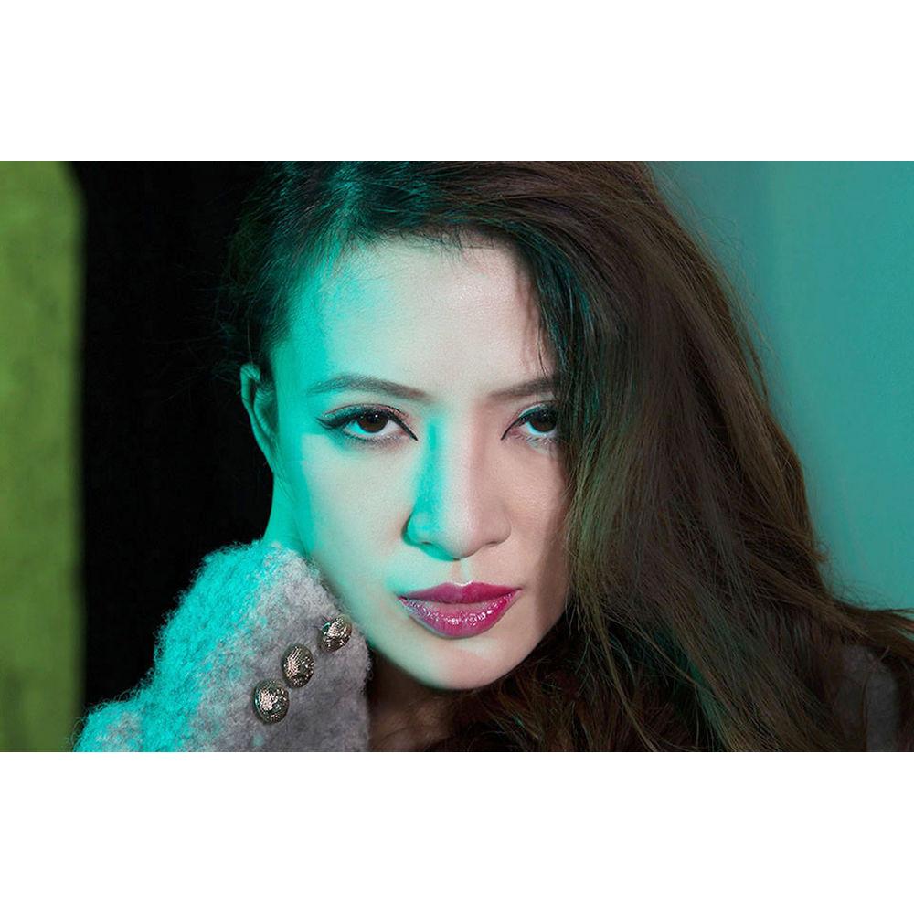 Honl Photo 5-Piece Starter Lighting Kit