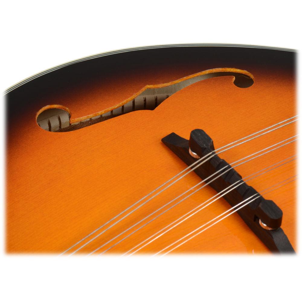 Ibanez M510 A-Style Mandolin