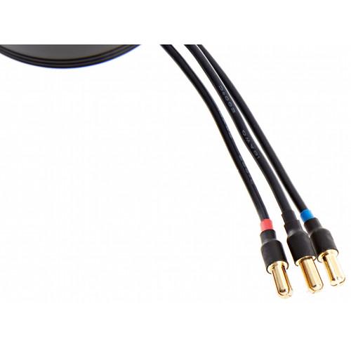 DJI Standard 6010 Motor for E2000 Tuned Propulsion System