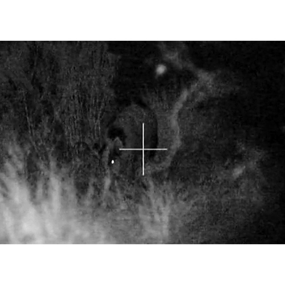 Armasight by FLIR Drone Pro 15x Digital Night Vision Riflescope