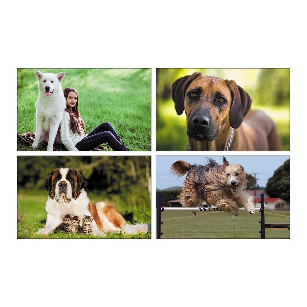 Photographers Photoshop Creative Collages