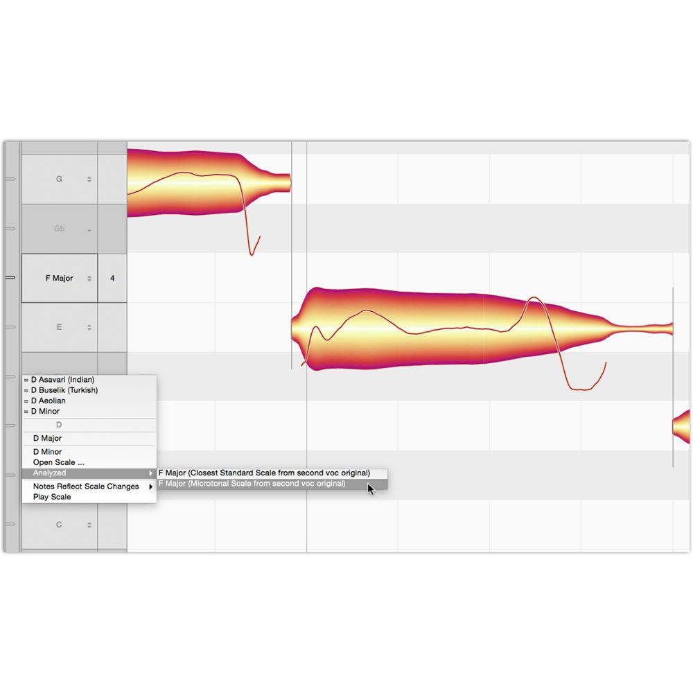 Celemony Melodyne Assistant 4 - Pitch Shifting Time Stretching Software