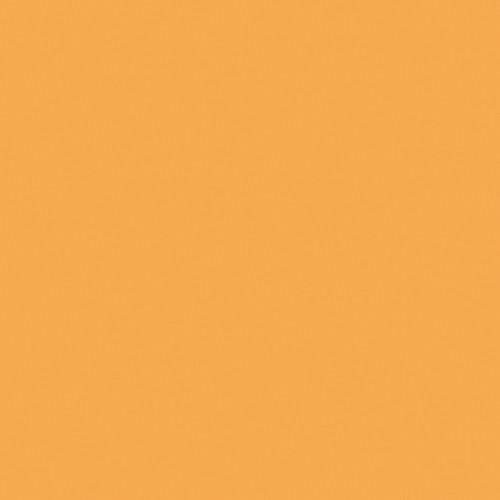 Rosco Photo Lighting Filter Kit