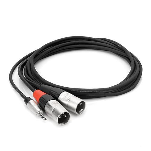 Hosa Technology Pro Stereo Breakout Cable - 3.5mm Stereo Mini to Dual 3-Pin XLR Male