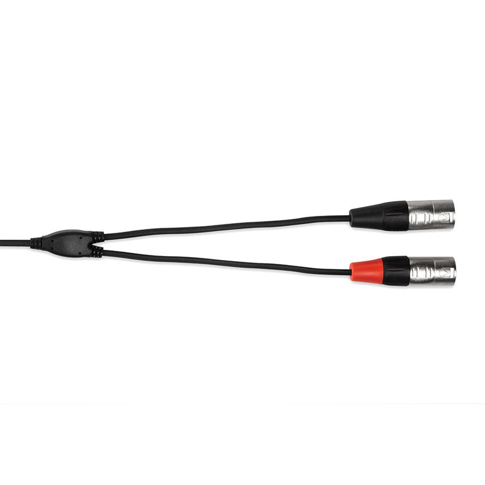 Hosa Technology Pro Stereo Breakout Cable - 3.5mm Stereo Mini to Dual 3-Pin XLR Male