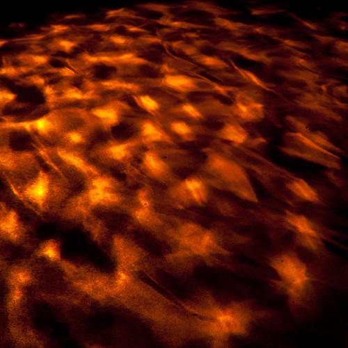 Eliminator Lighting Aqua LED Lighting Fixture