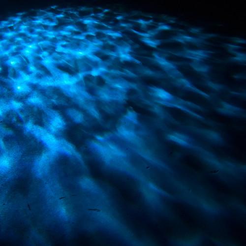 Eliminator Lighting Aqua LED Lighting Fixture