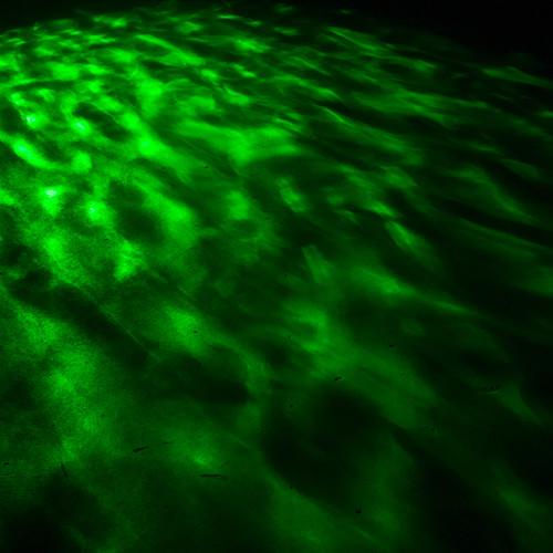 Eliminator Lighting Aqua LED Lighting Fixture