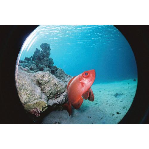 Lomography Fisheye Submarine UW Housing for the Lomo Fisheye No. 1 or 2