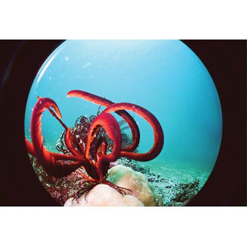 Lomography Fisheye Submarine UW Housing for the Lomo Fisheye No. 1 or 2