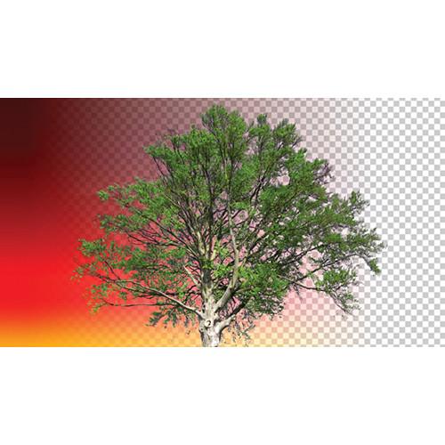 Red Giant Primatte Keyer - Upgrade