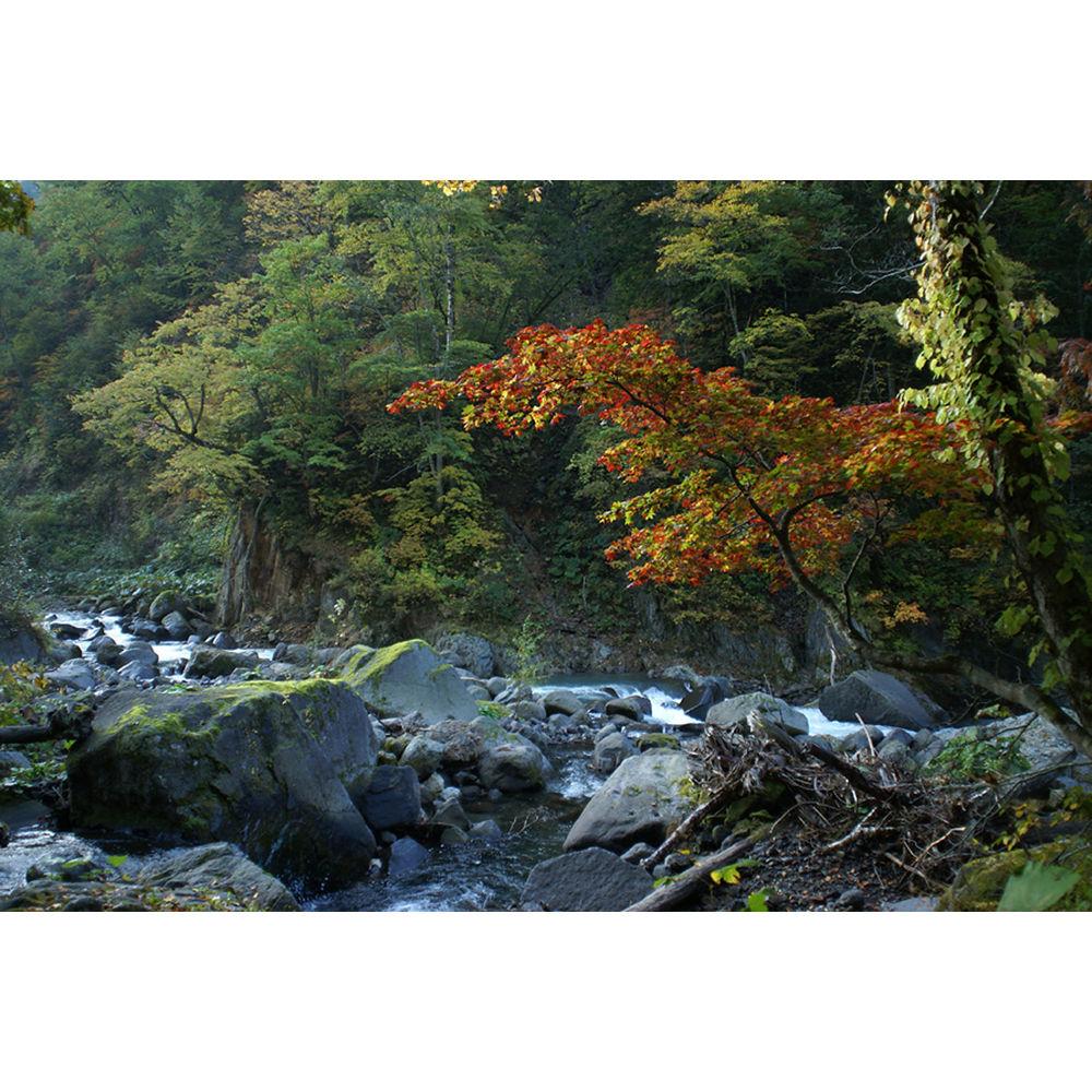 Sony 20mm f 2.8 Lens