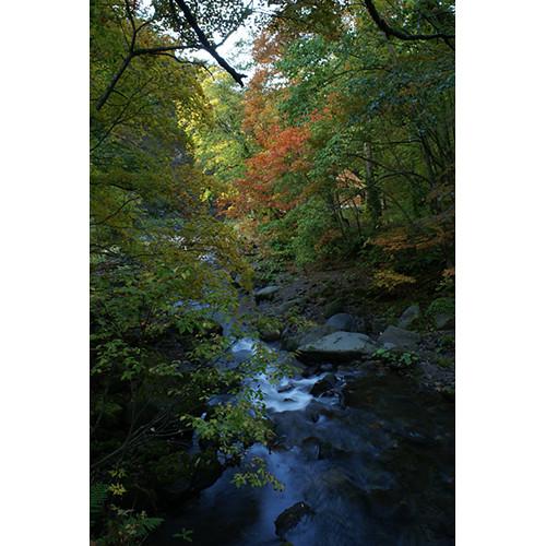 Sony 20mm f 2.8 Lens