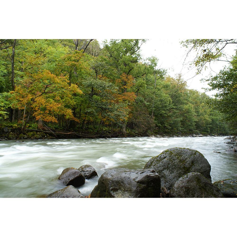 Sony 20mm f 2.8 Lens