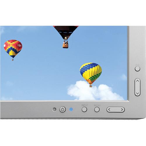 NEC MultiSync PA302W 30" Wide Gamut Desktop Monitor