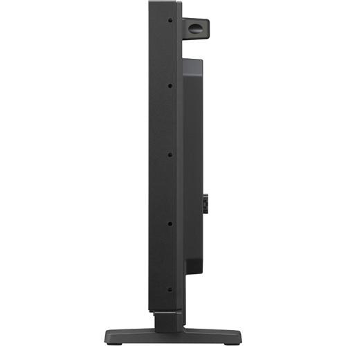 Sony PVMA250 25" Professional OLED Production Monitor with v2.0 Firmware