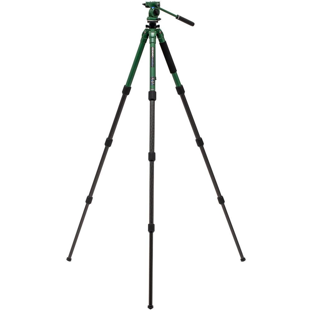 Benro Wild Series 2 Tripod with BWH4 2-Way Pan and Tilt Head