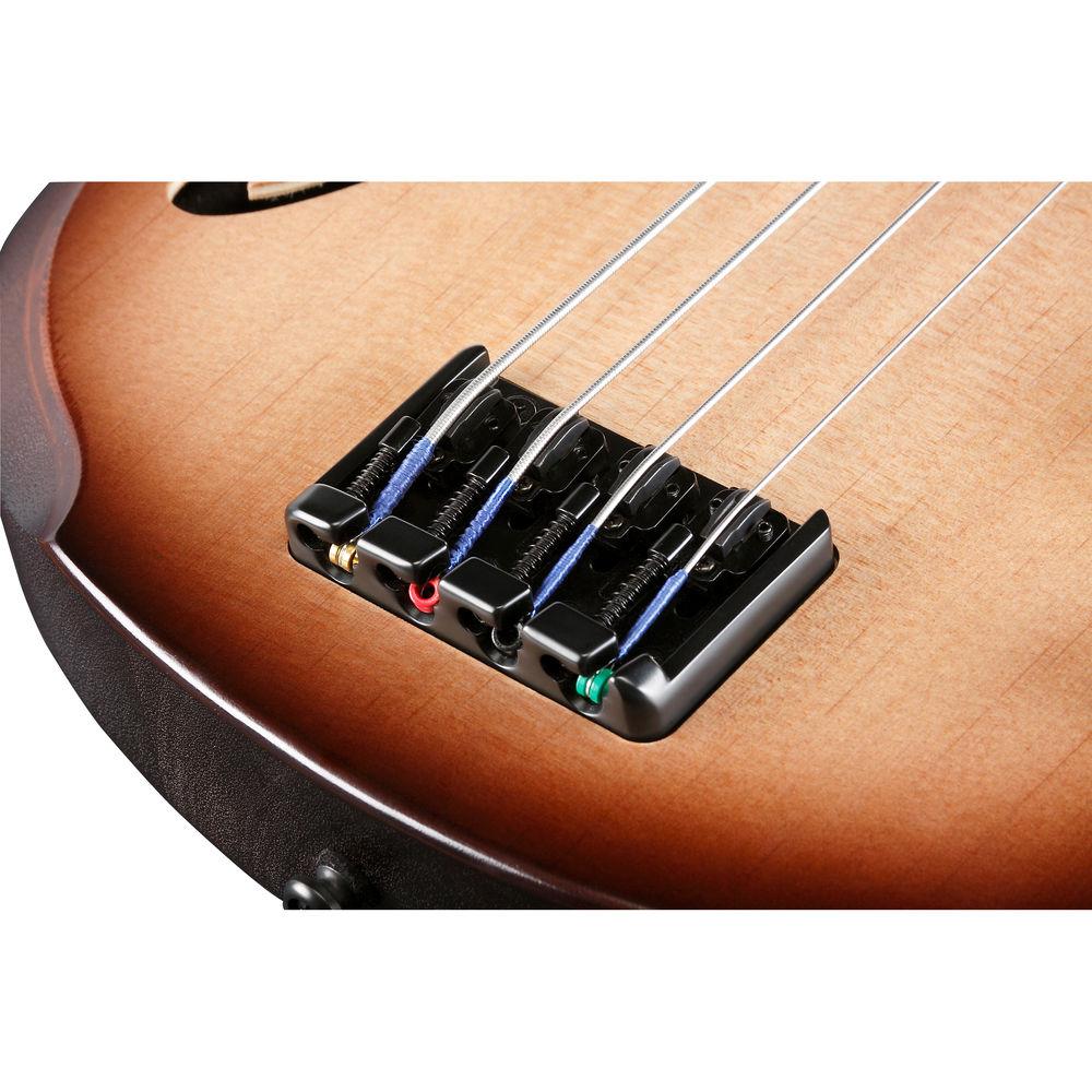 Ibanez SRH500F SR Series Bass Workshop - Fretless Semi-Hollow Body Electric Bass Guitar