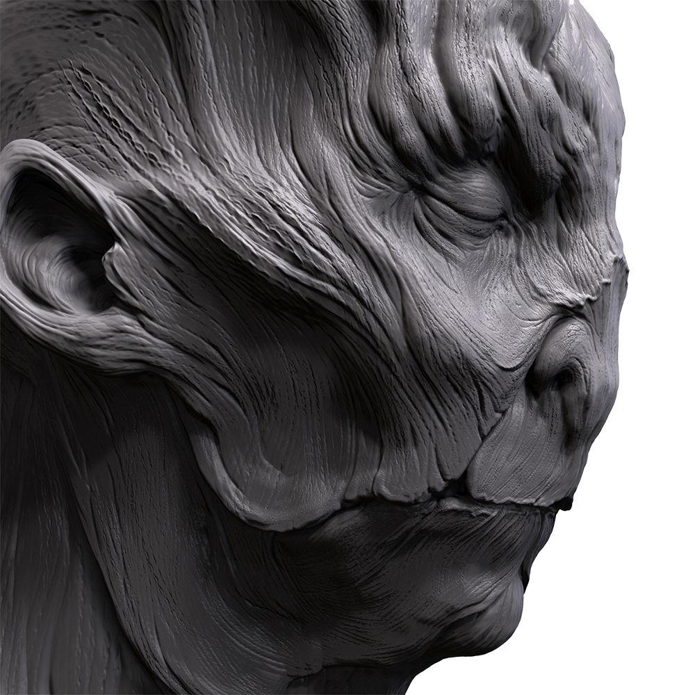Pixologic ZBrushCore for Mac