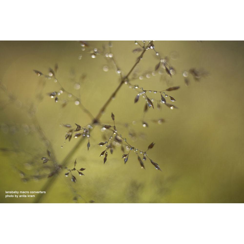 Lensbaby Composer Pro II Optic Swap Kit for Sony E