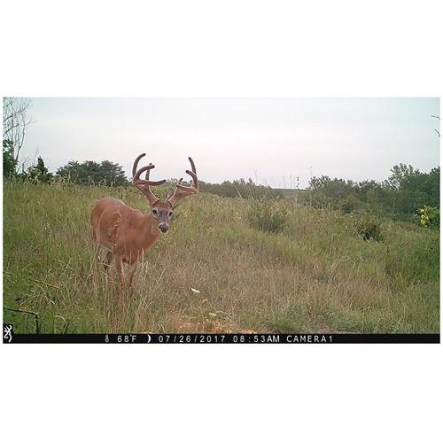 Browning Recon Force 4K Trail Camera