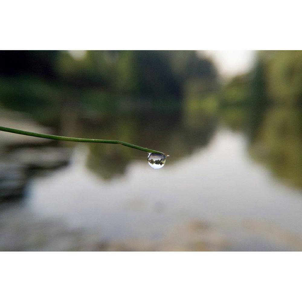 Beastgrip Fisheye Lens with Macro