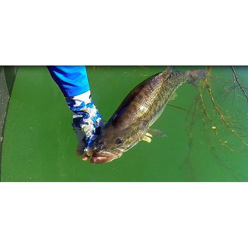 Glacier Glove Abaco Bay Sun Glove