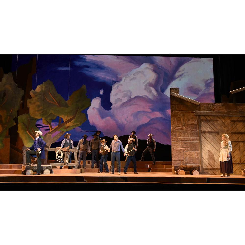 CHAUVET PROFESSIONAL COLORado 2 Quad Zoom LED Wash Fixture