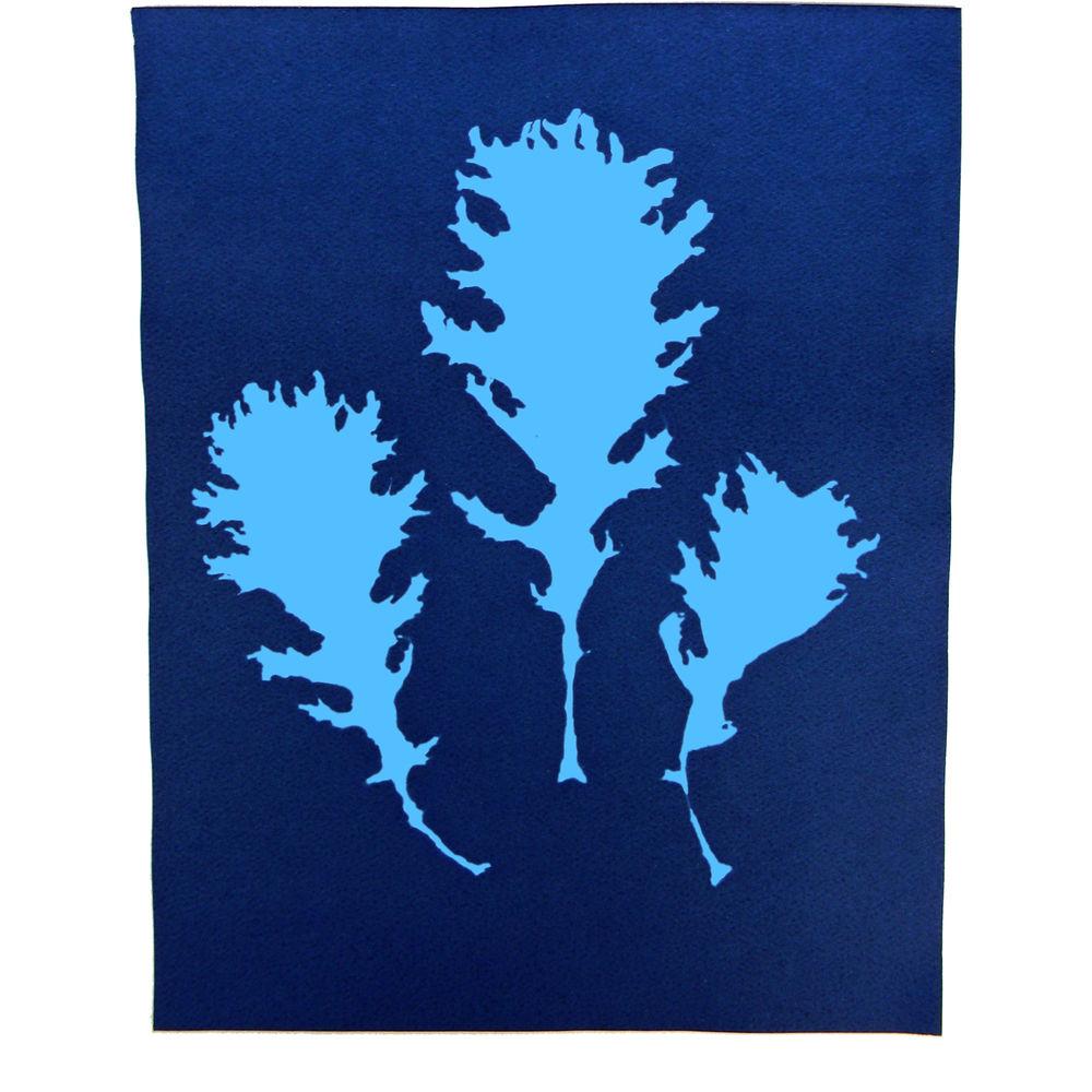 Cyanotype Store Cyanotype Paper