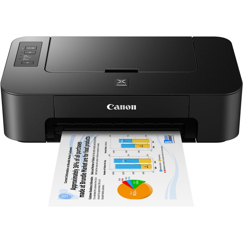 Canon PIXMA TS202 Inkjet Printer