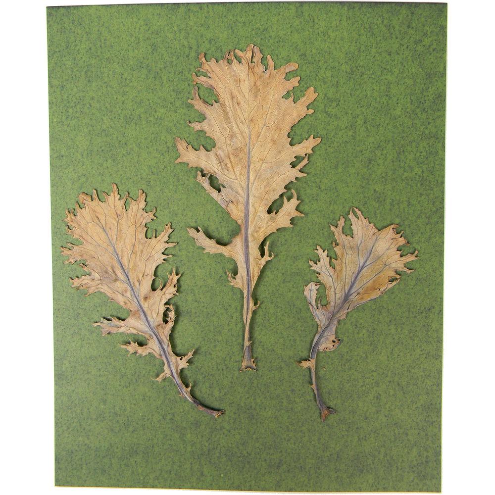 Cyanotype Store Cyanotype Paper