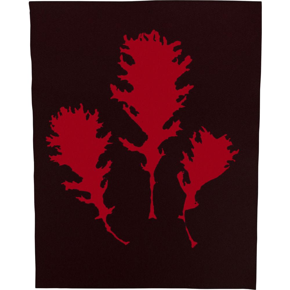 Cyanotype Store Cyanotype Paper