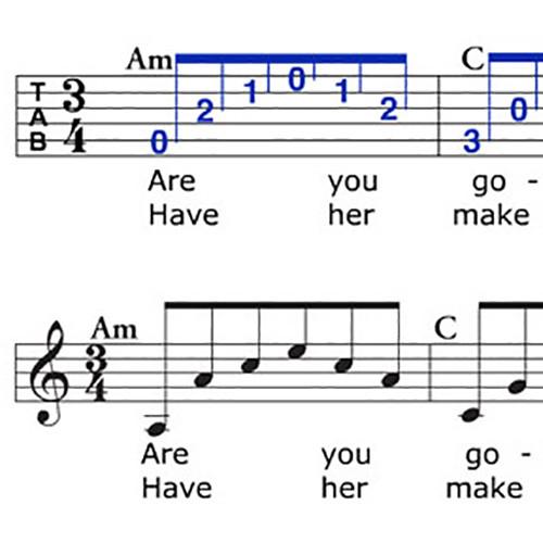 eMedia Music Guitar Collection - Complete Guitar Course with Extra Songs