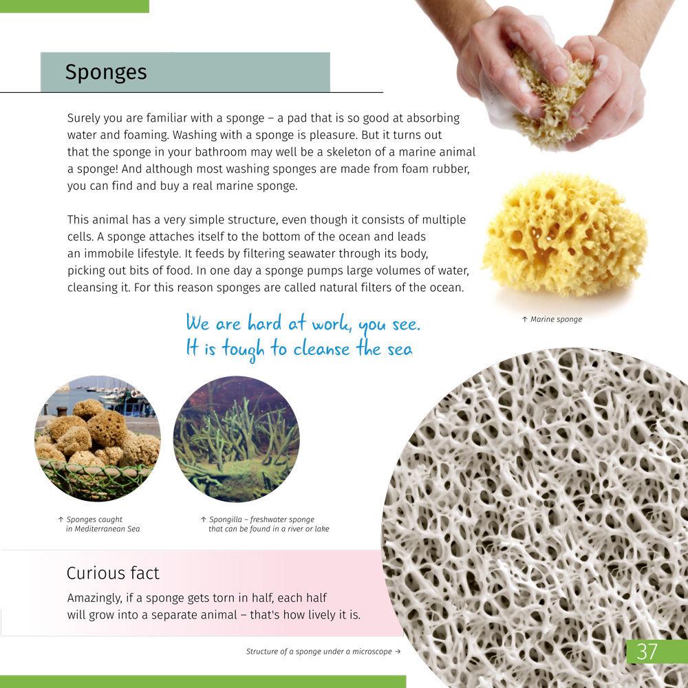 Levenhuk Space Microworld Knowledge Book Set