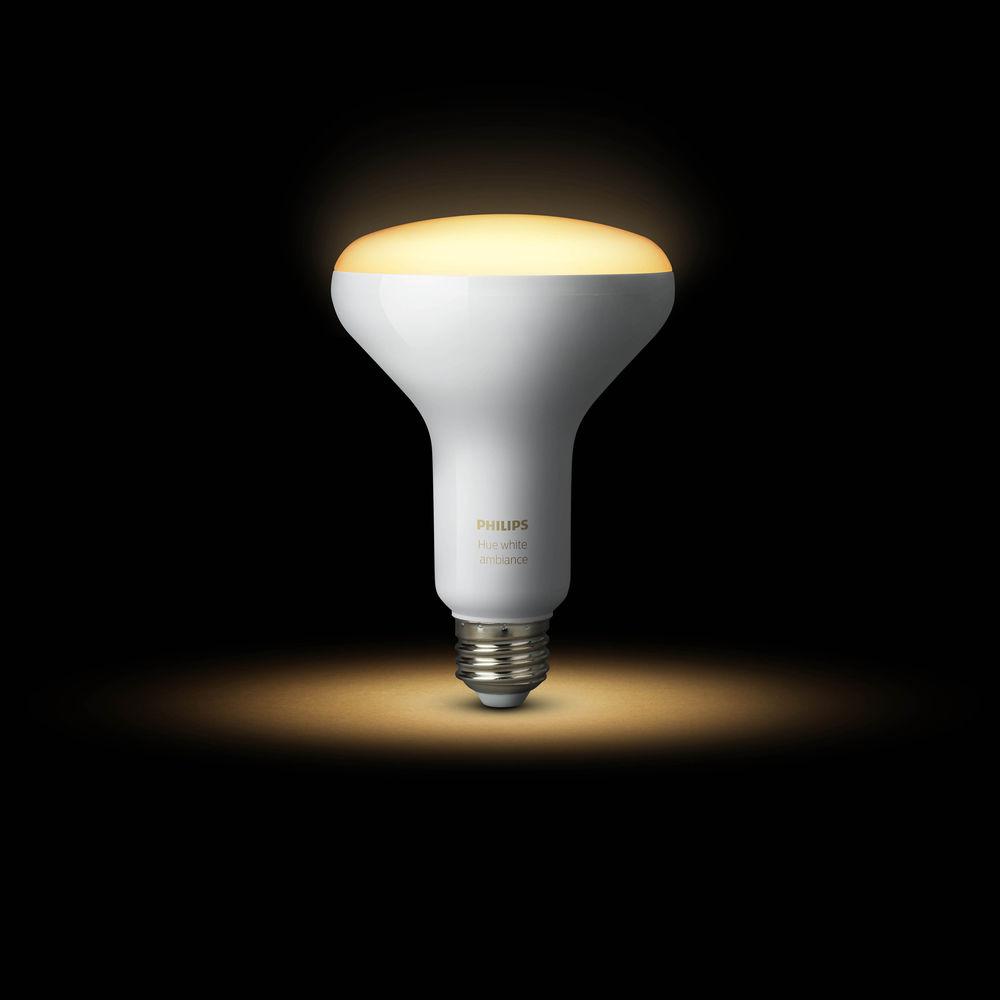 Philips Hue BR30 Bulb